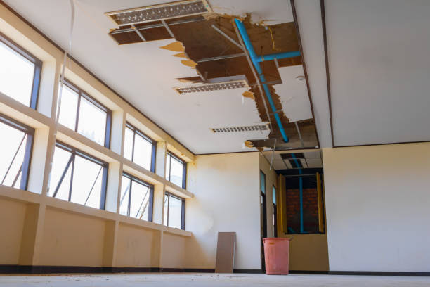 Best Flood restoration services  in Flemington, PA