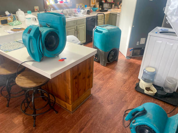 Best Sewage cleanup and water damage restoration  in Flemington, PA