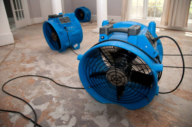 Best Professional water damage repair  in Flemington, PA