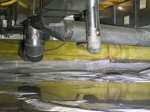 Best Water damage restoration near me  in Flemington, PA